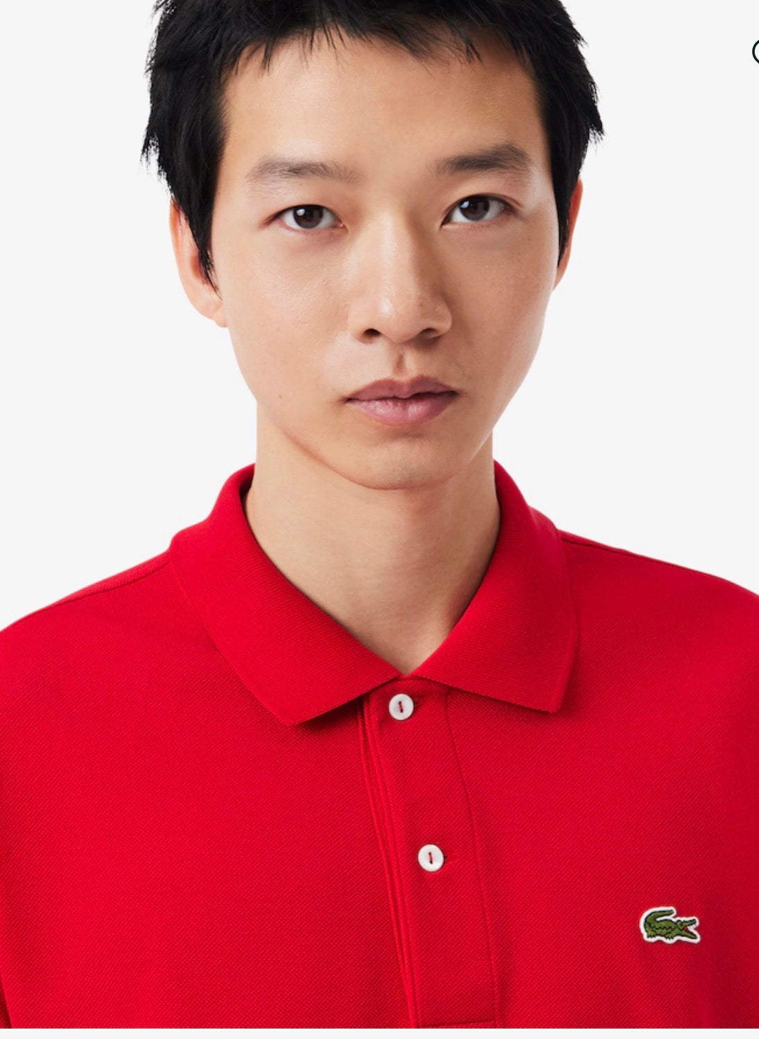 Polo Lacoste Basic