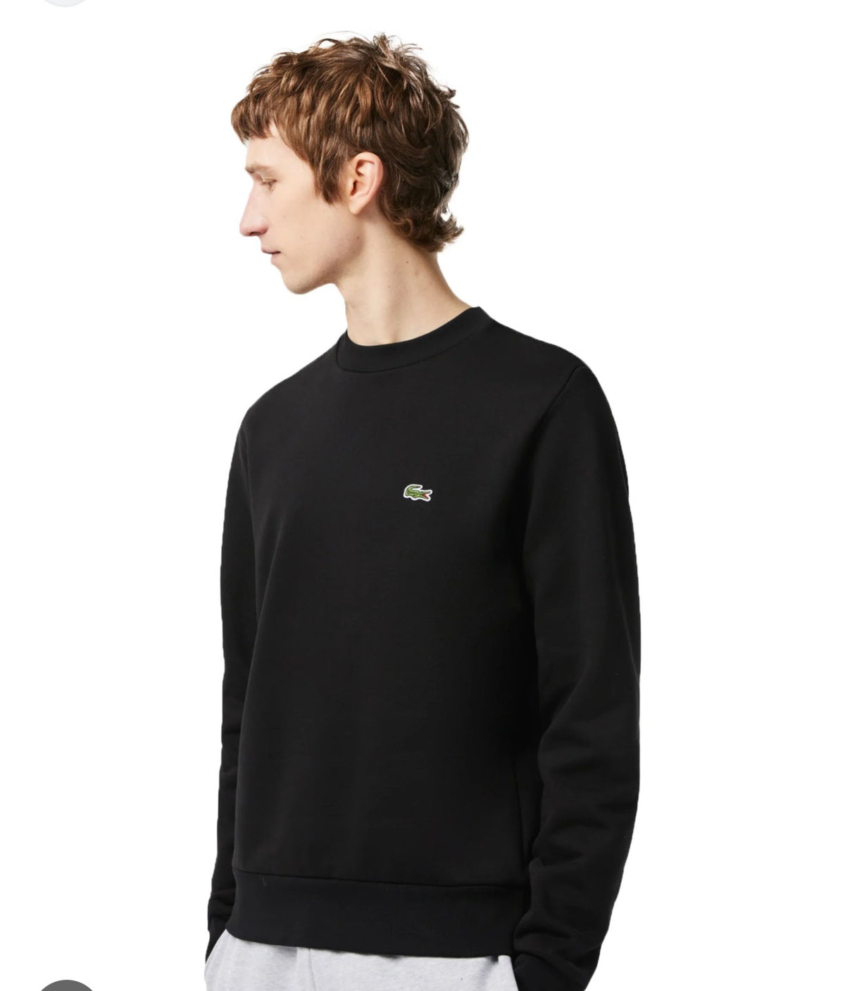 Felpa Lacoste Girocollo Basic
