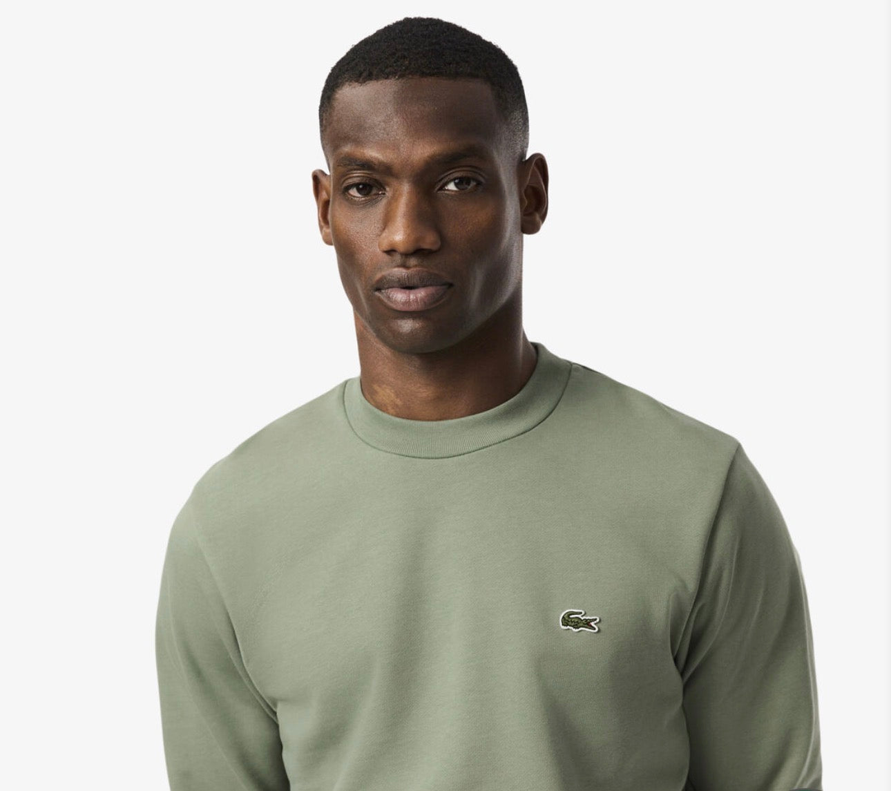 Felpa Lacoste Verde