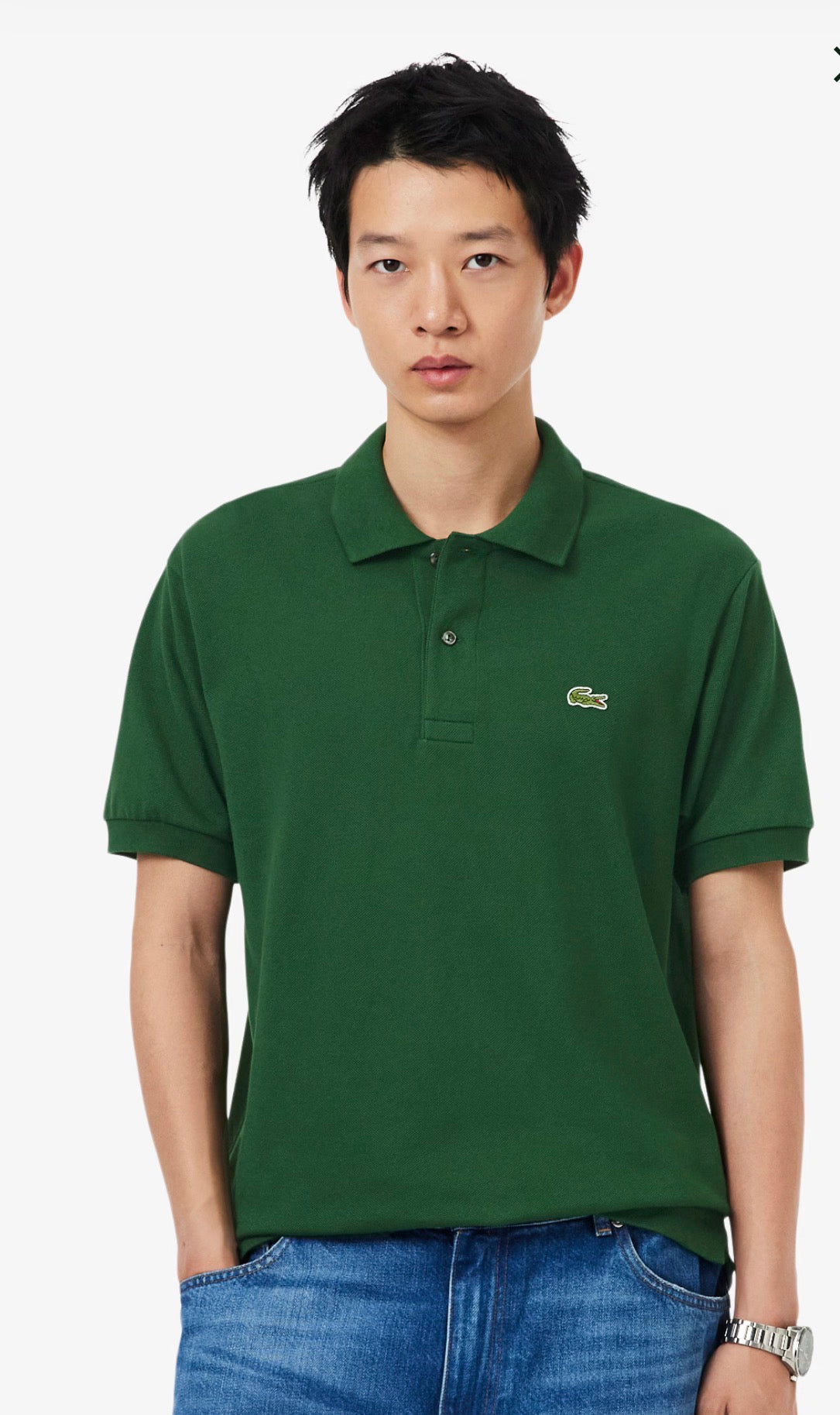 Polo Lacoste Basic